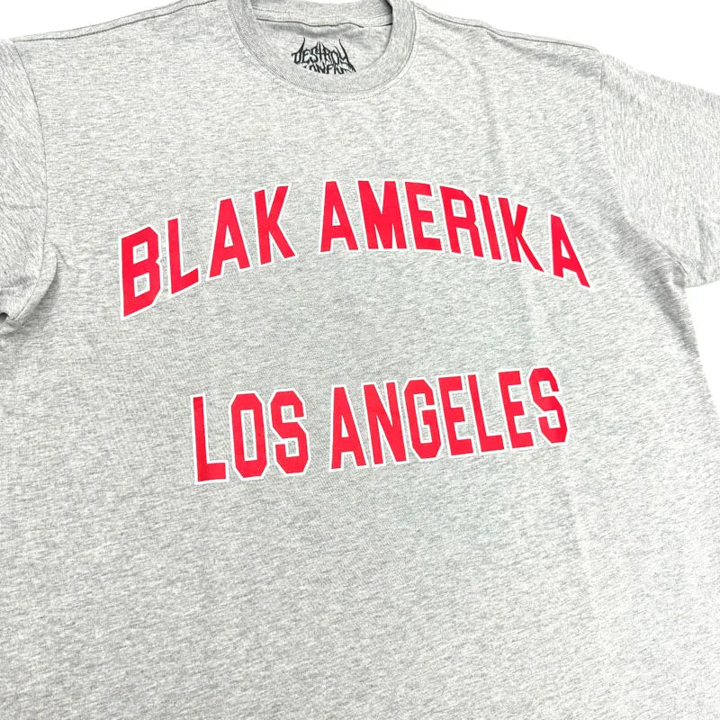 White Blak Amerika Graphic Tee