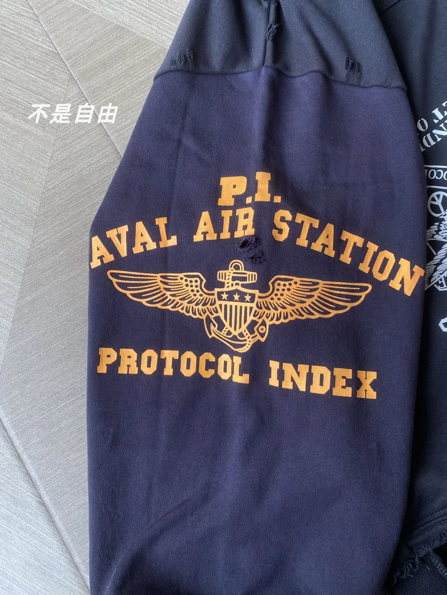 Black Eagle Virginia Graphic Hoodie